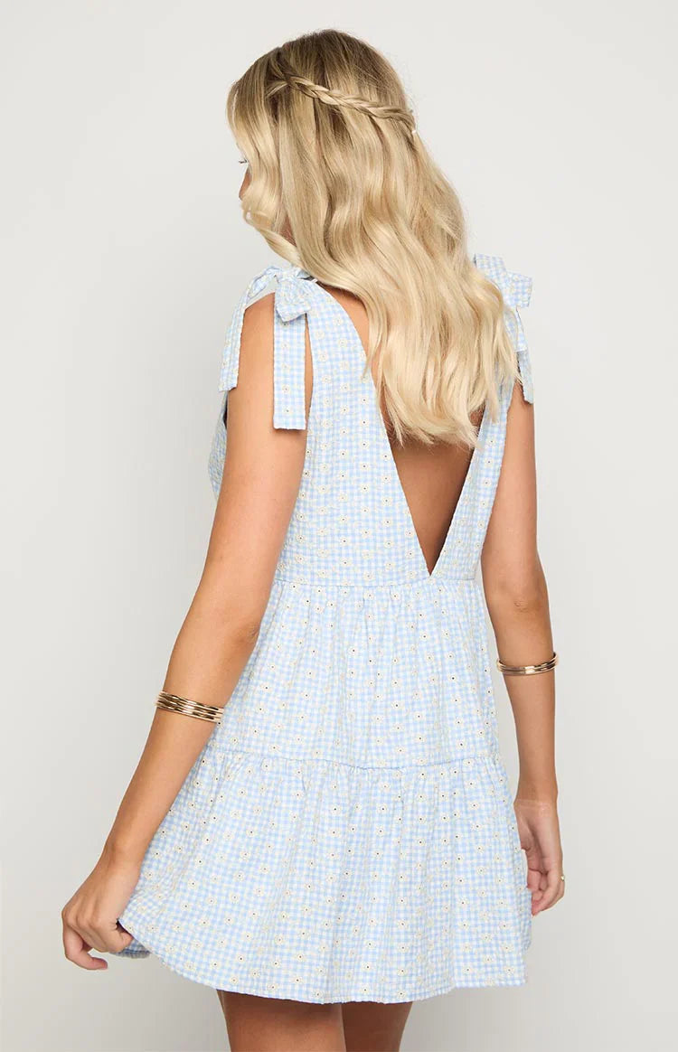 Blue Gingham Floral Mini Dress