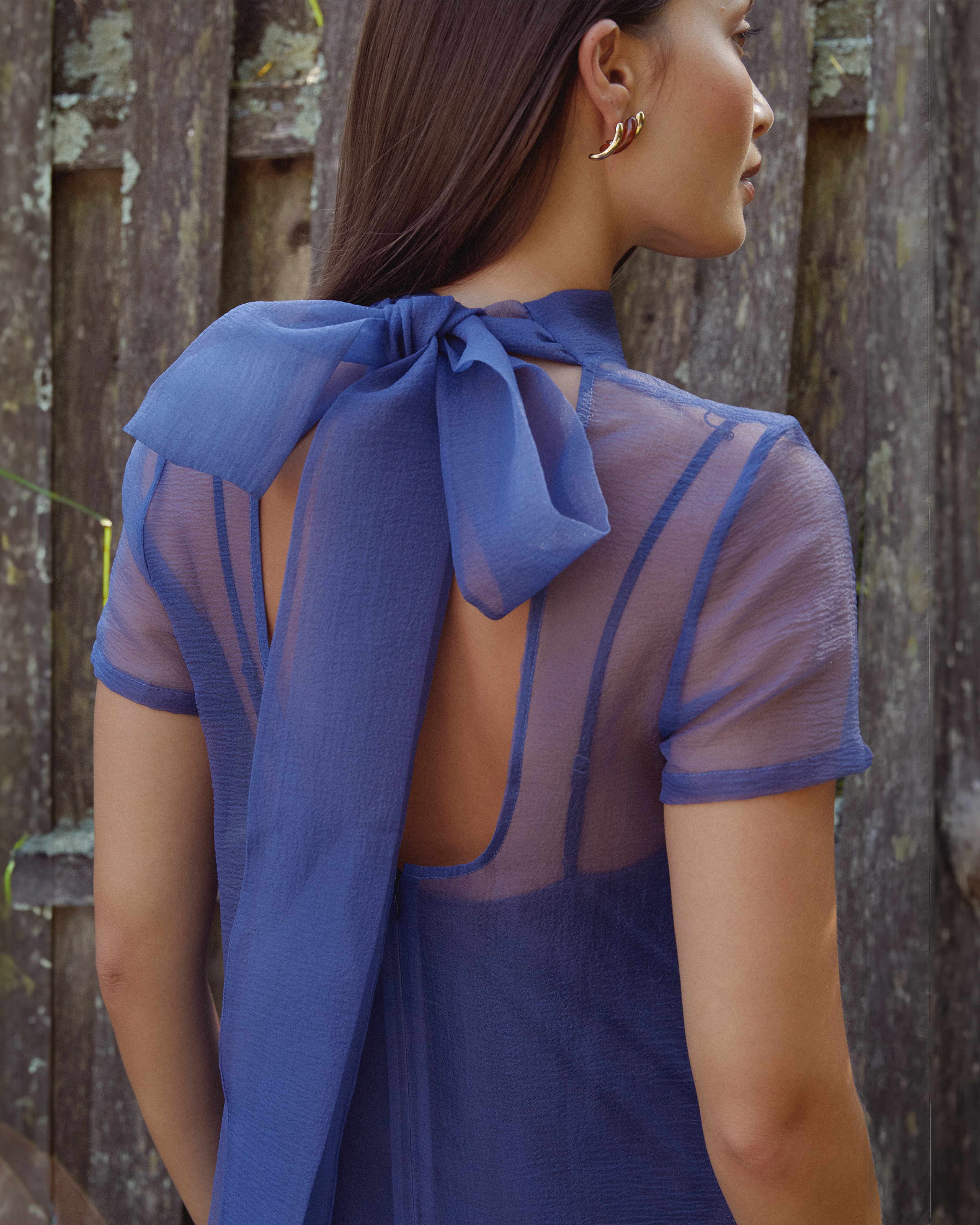Sheer Organza Bow Maxi Dress